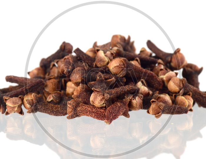 Indian Cloves Or Indian Spices Cloves Pile  On an Isolated White Background