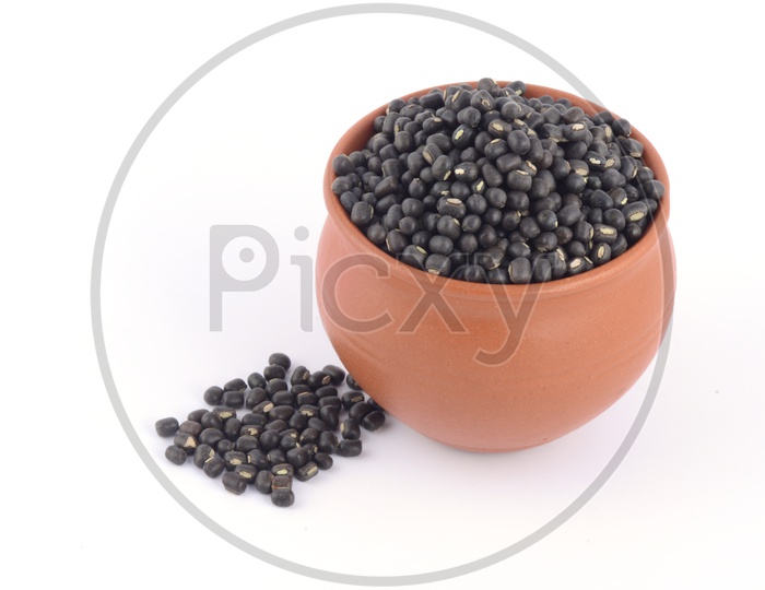 Urad dal, black gram, Vigna mungo in a Clay Pot on An Isolated  white background
