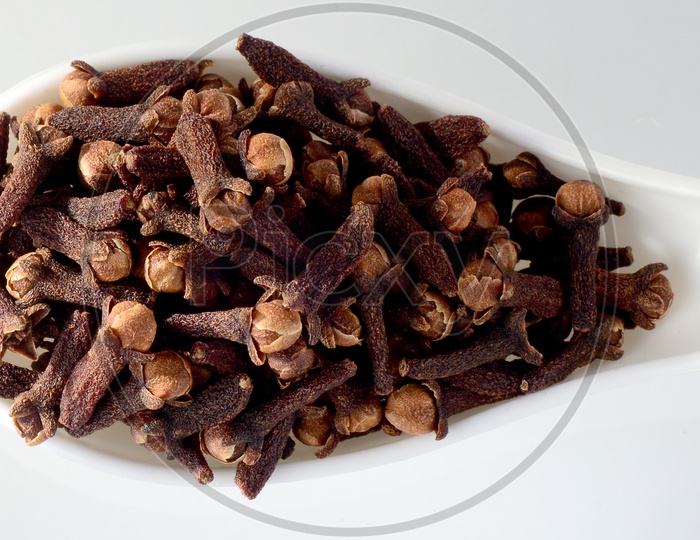Cloves Or Indian Spices Cloves In a Spoon On An Isolated White Background