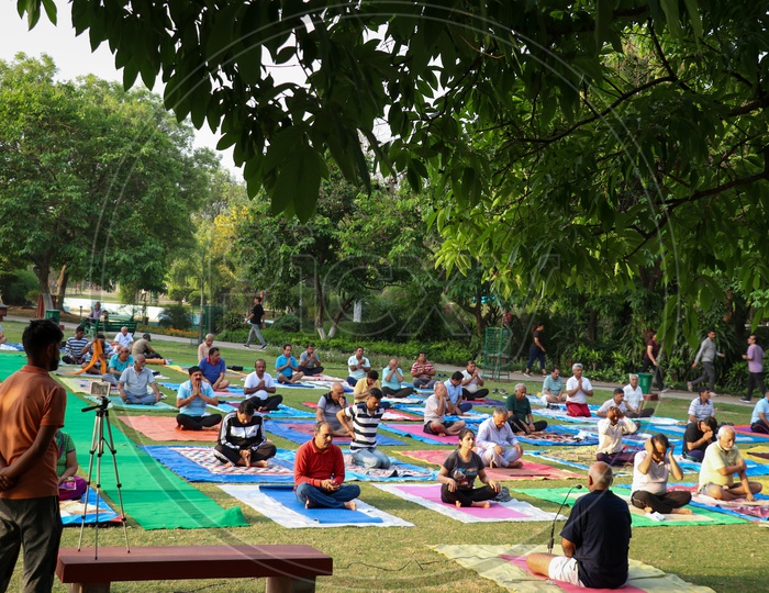 People doing yoga and meditation in a park