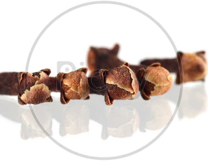 Indian Cloves Or Indian Spices Cloves On an Isolated White Background