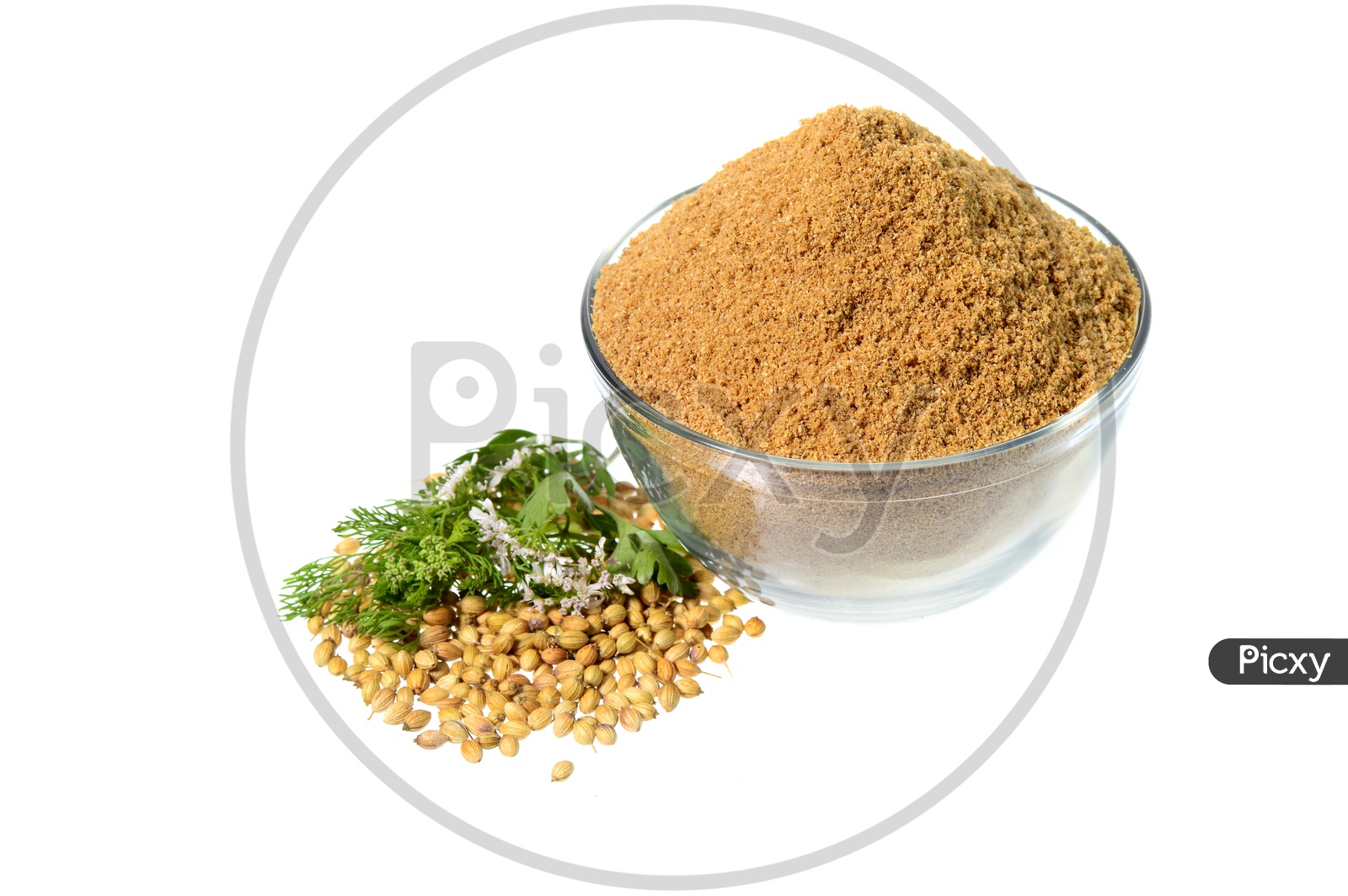 Coriander seeds, Fresh Coriander and Powdered coriander in a  Glass Bowl  On an  Isolated White Background