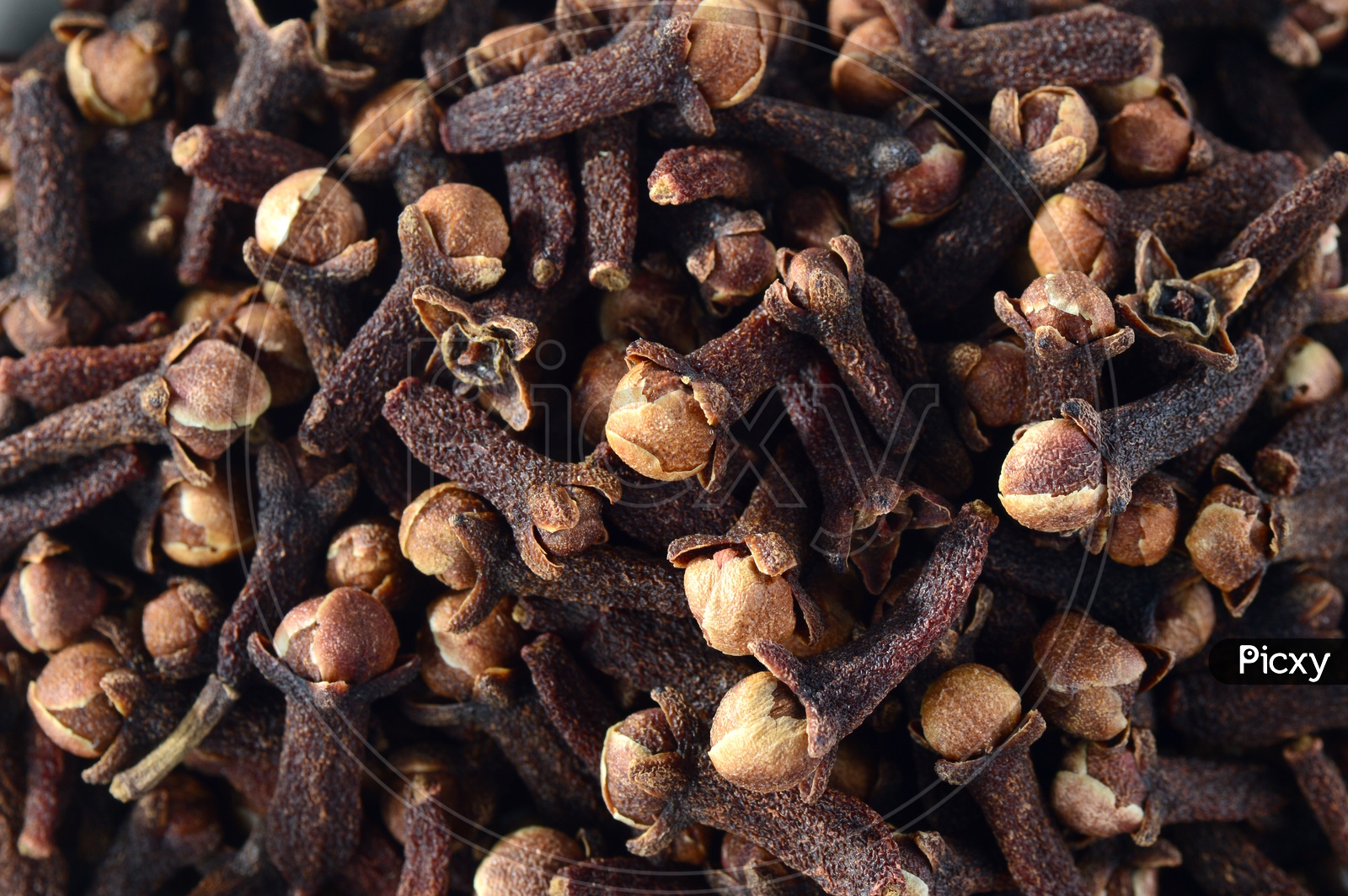 Indian Cloves Or Indian Spices Cloves Pile  Background