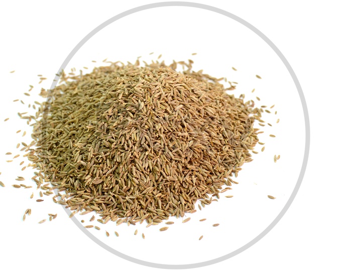 Cumin Seeds or Jeera On an Isolated White Background