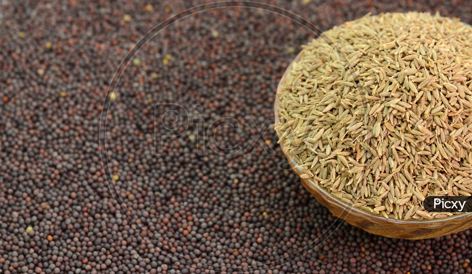 Mustard Seeds And Cumin Seeds Or Jeera  Composition  Background