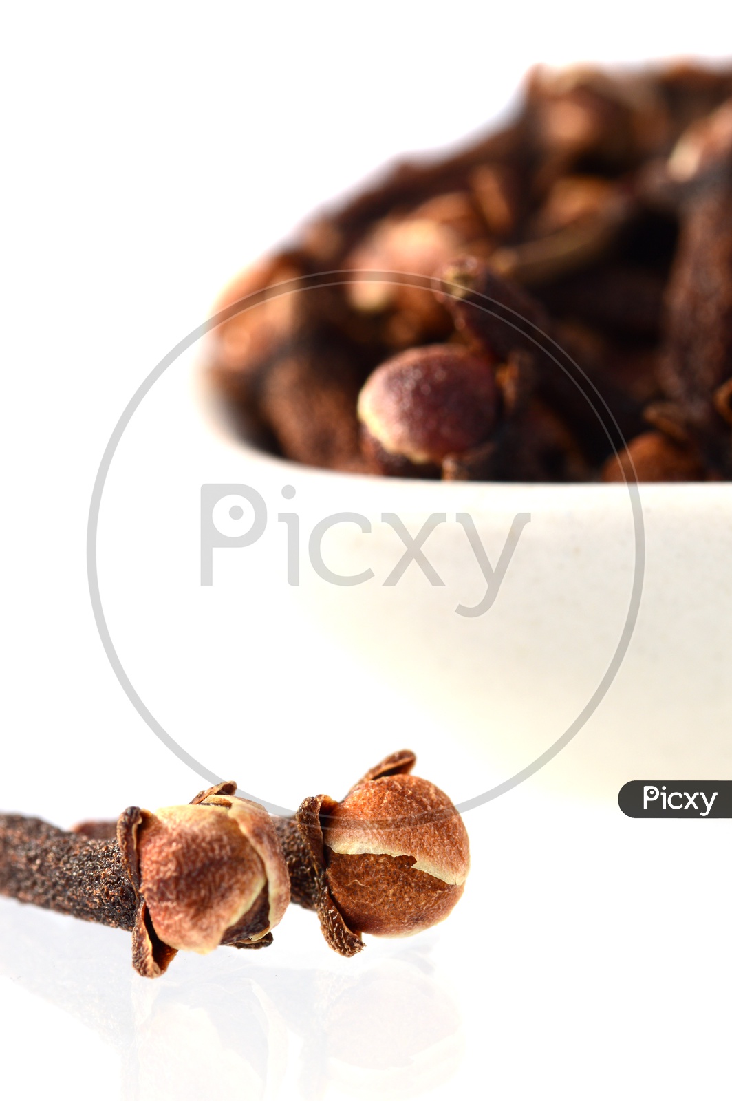 Cloves Or Indian Spices Cloves In a Bowl On An Isolated White Background