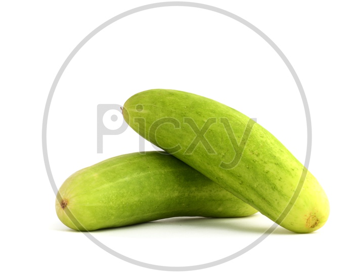 Fresh Green Cucumber Or Keera on an Isolated White Background