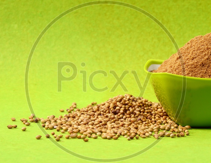 Coriander seeds and Powdered coriander in green bowl on green background.