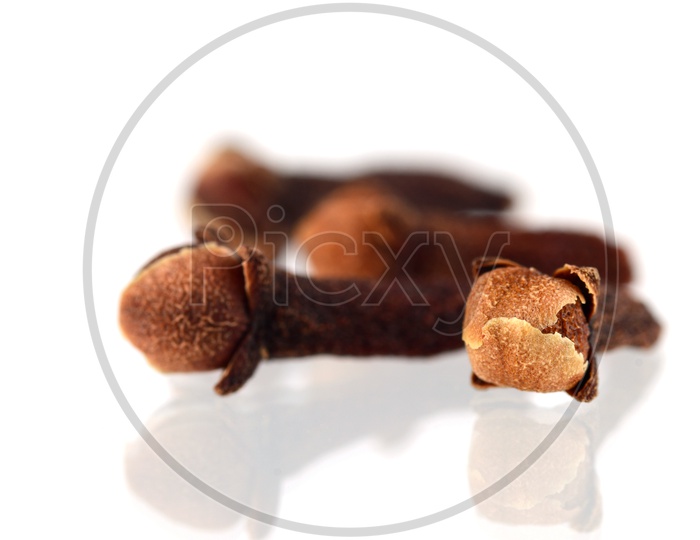 Indian Cloves Or Indian Spices Cloves On an Isolated White Background