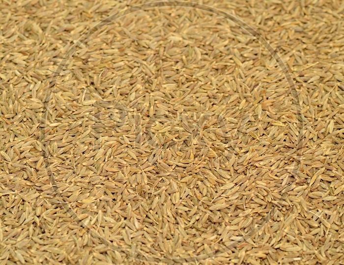 Cumin Seeds or Jeera Filled Background