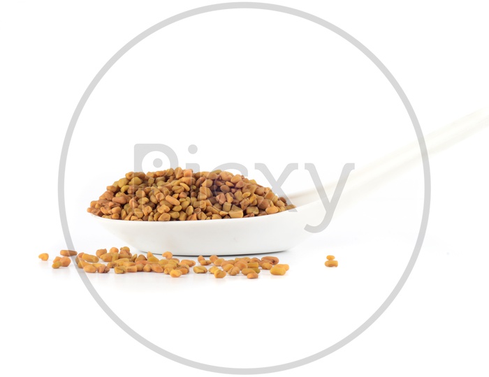 Fenugreek seeds in a spoon isolated on white background