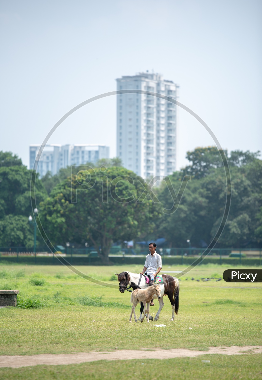 A Man Riding On a Horse In a Park