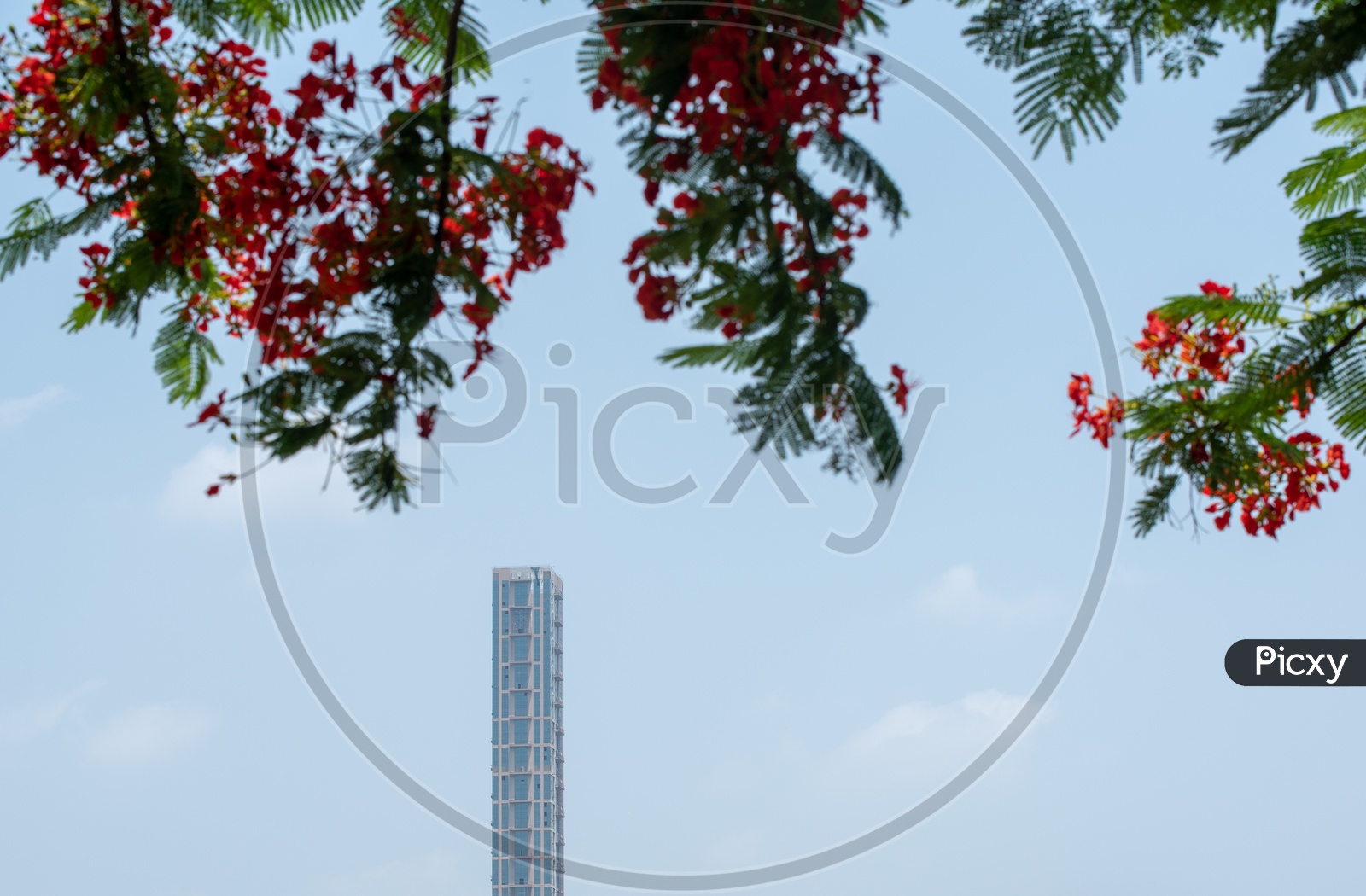 The 42  Kolkata  , Kolkata Tallest Residential Building