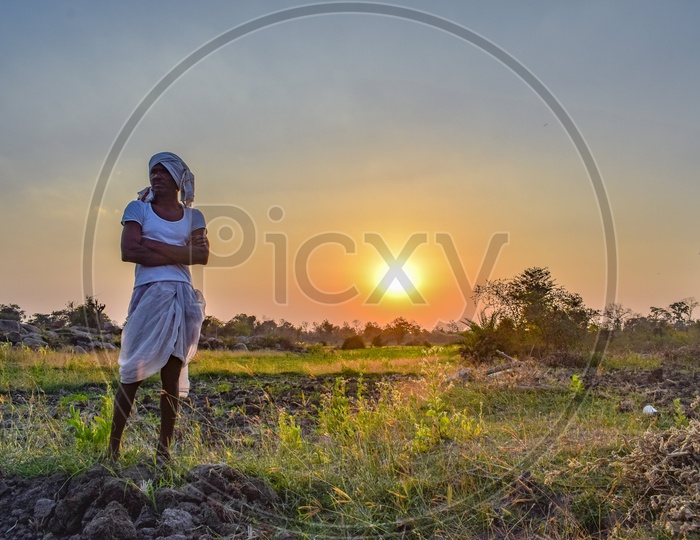 An Indian Farmer  in His Agricultural Field  With a Sunset Sun In  Background
