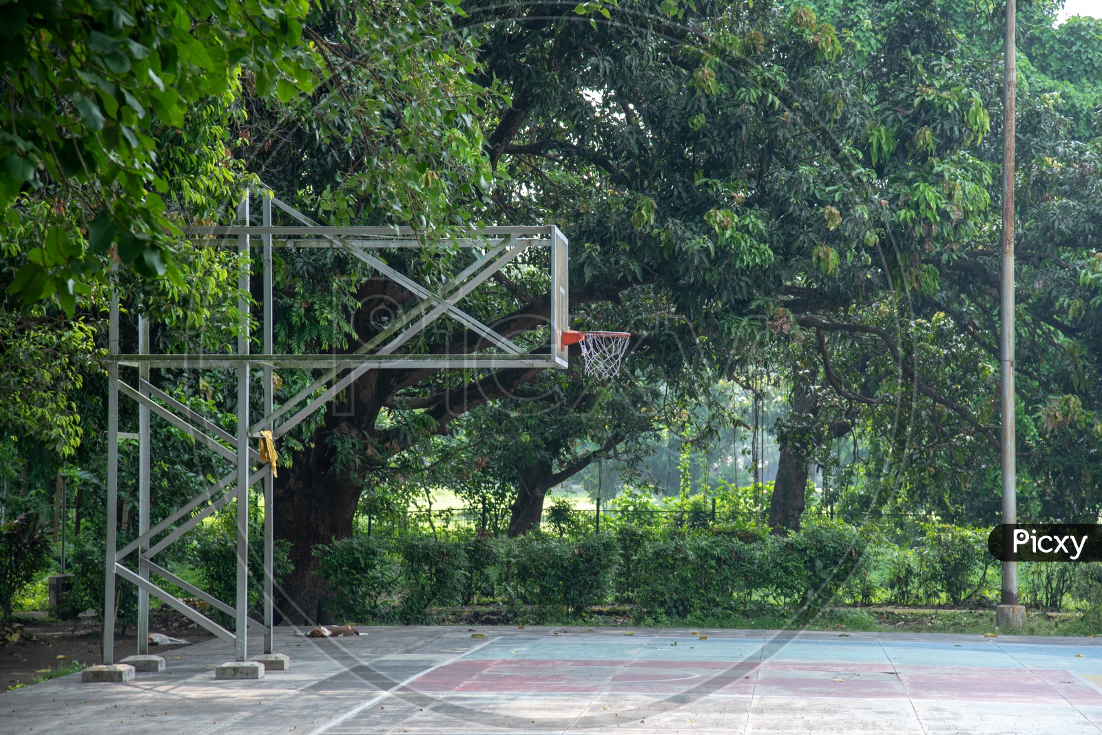 image-of-a-basketball-court-with-a-goal-shoot-point-lf890727-picxy