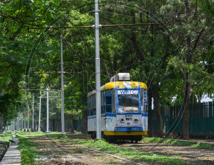 West Bengal Transport Corporation ( WBTC ) tram Services Tram