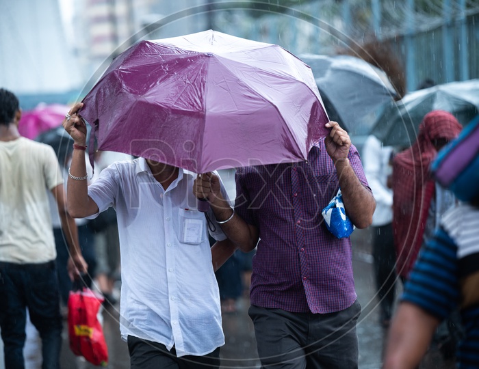 Pedestrians At Howrah Bridge   using Umbrellas  To Take  Cover From Heavy Rain  Due To Cyclone Fani  in Kolkata