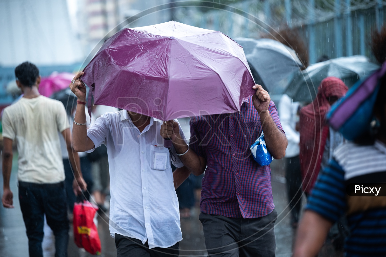 Pedestrians At Howrah Bridge   using Umbrellas  To Take  Cover From Heavy Rain  Due To Cyclone Fani  in Kolkata
