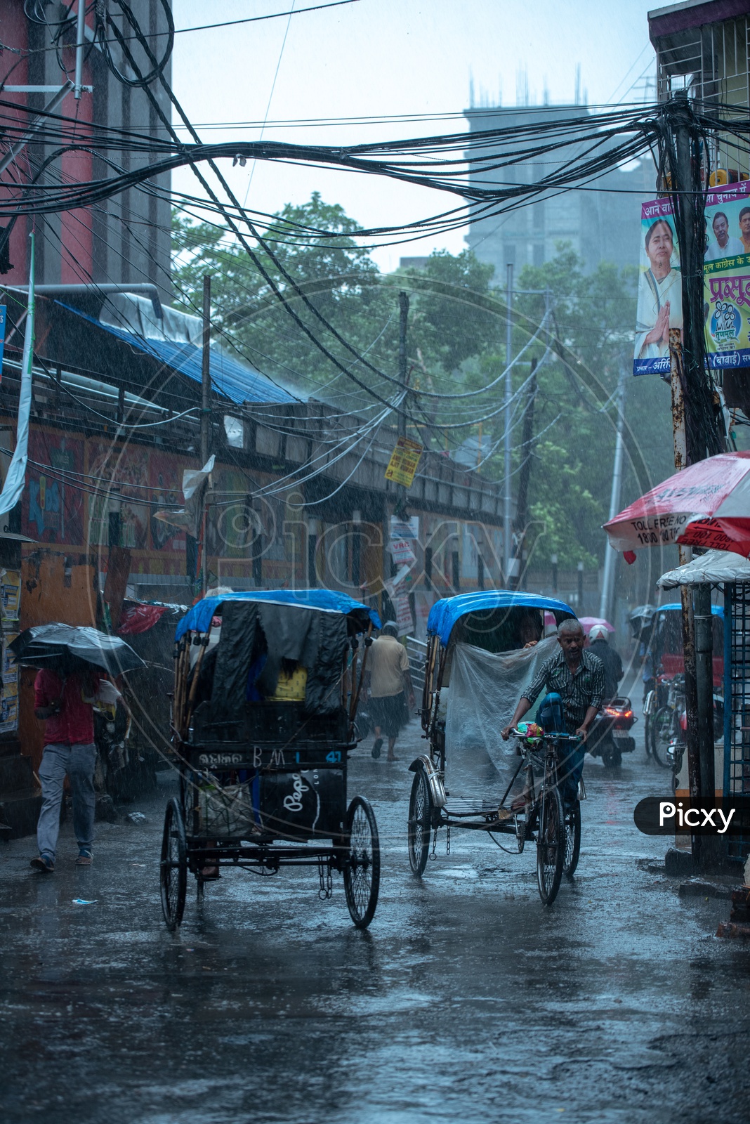 Rickshaw Pullers Or Riders  In Heavy Rain Pulling The Rickshaws