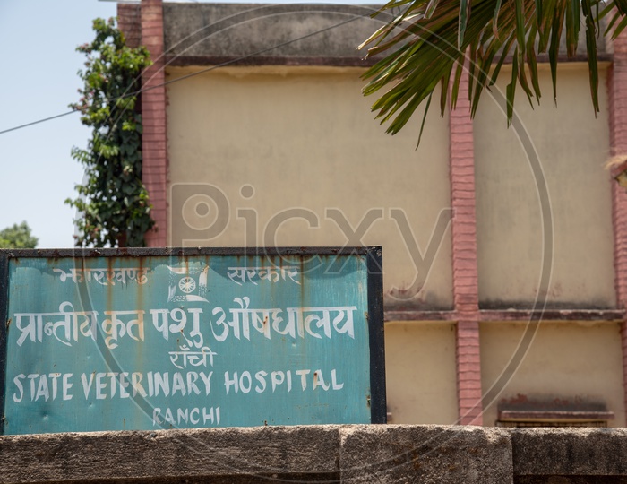 State Veterinary  Hospital , Board