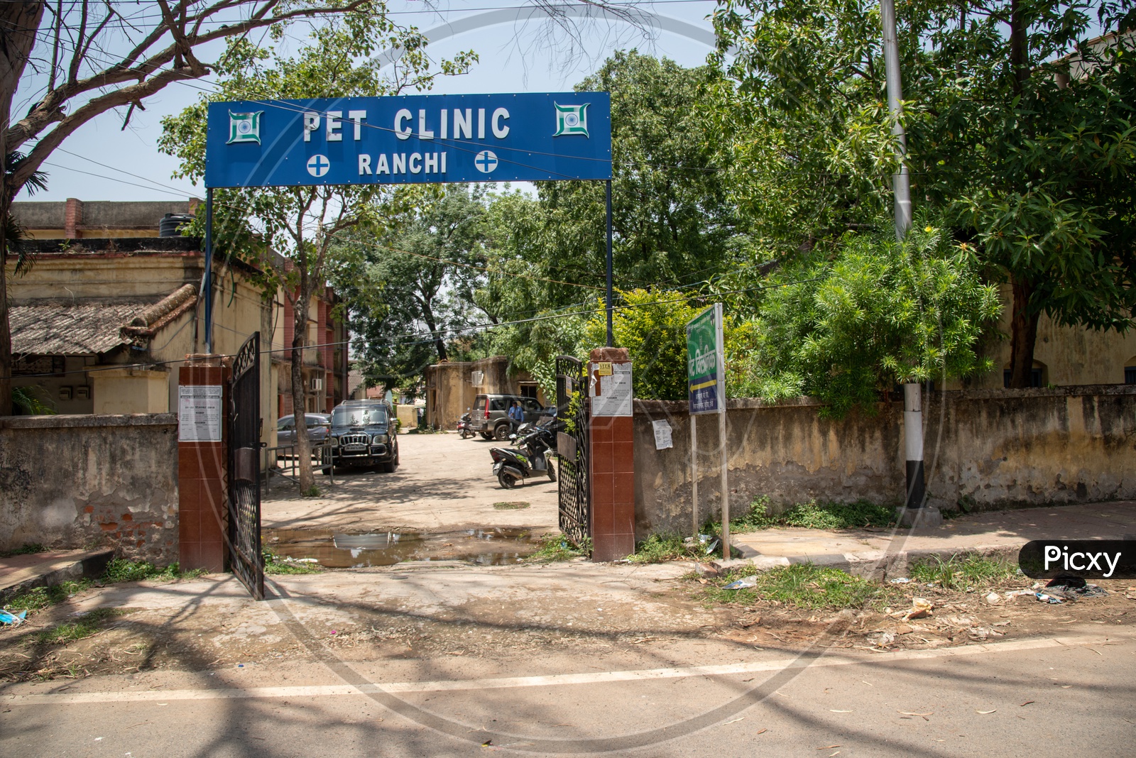 Pet Clinic  Or  Hospital ,  Ranchi
