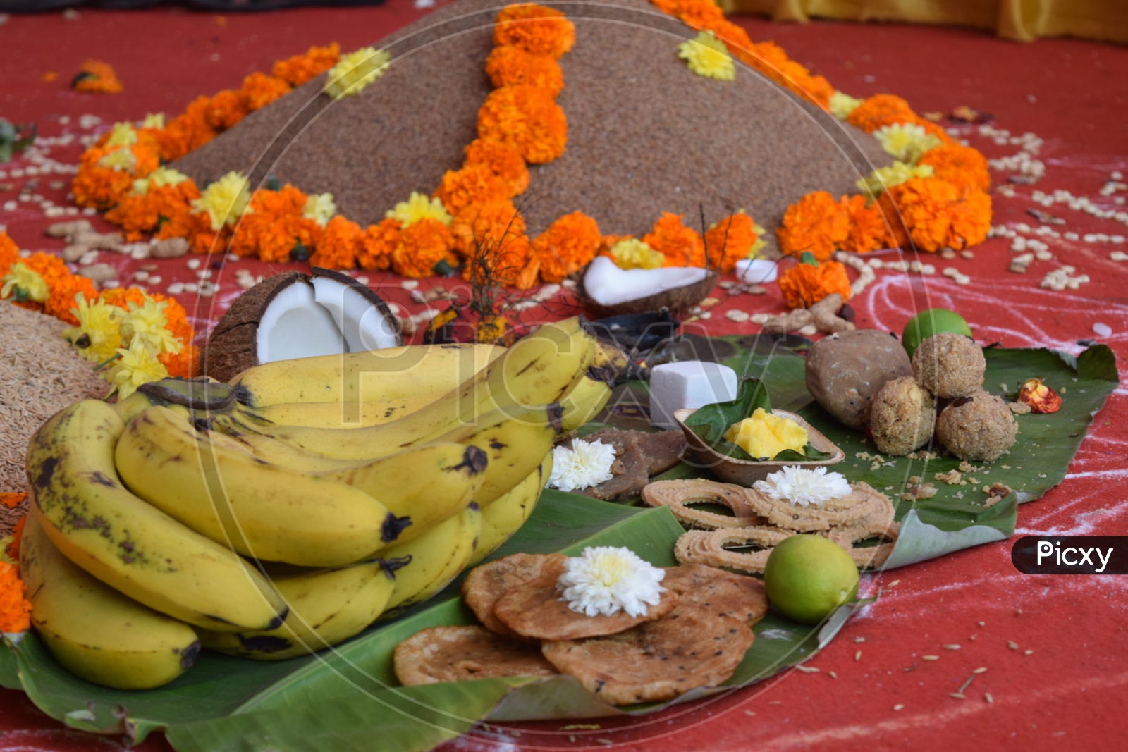 Sankranti festival
