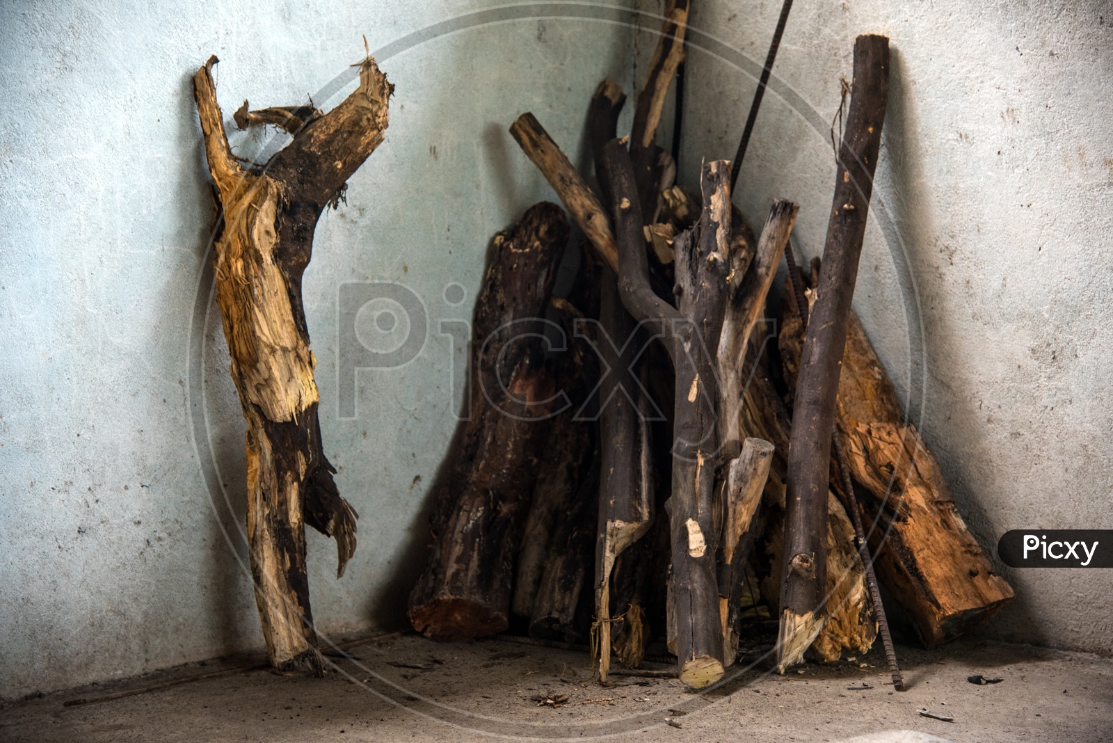 Dried Wood  Stored In a Rural Village  Used as a Cooking Fuel