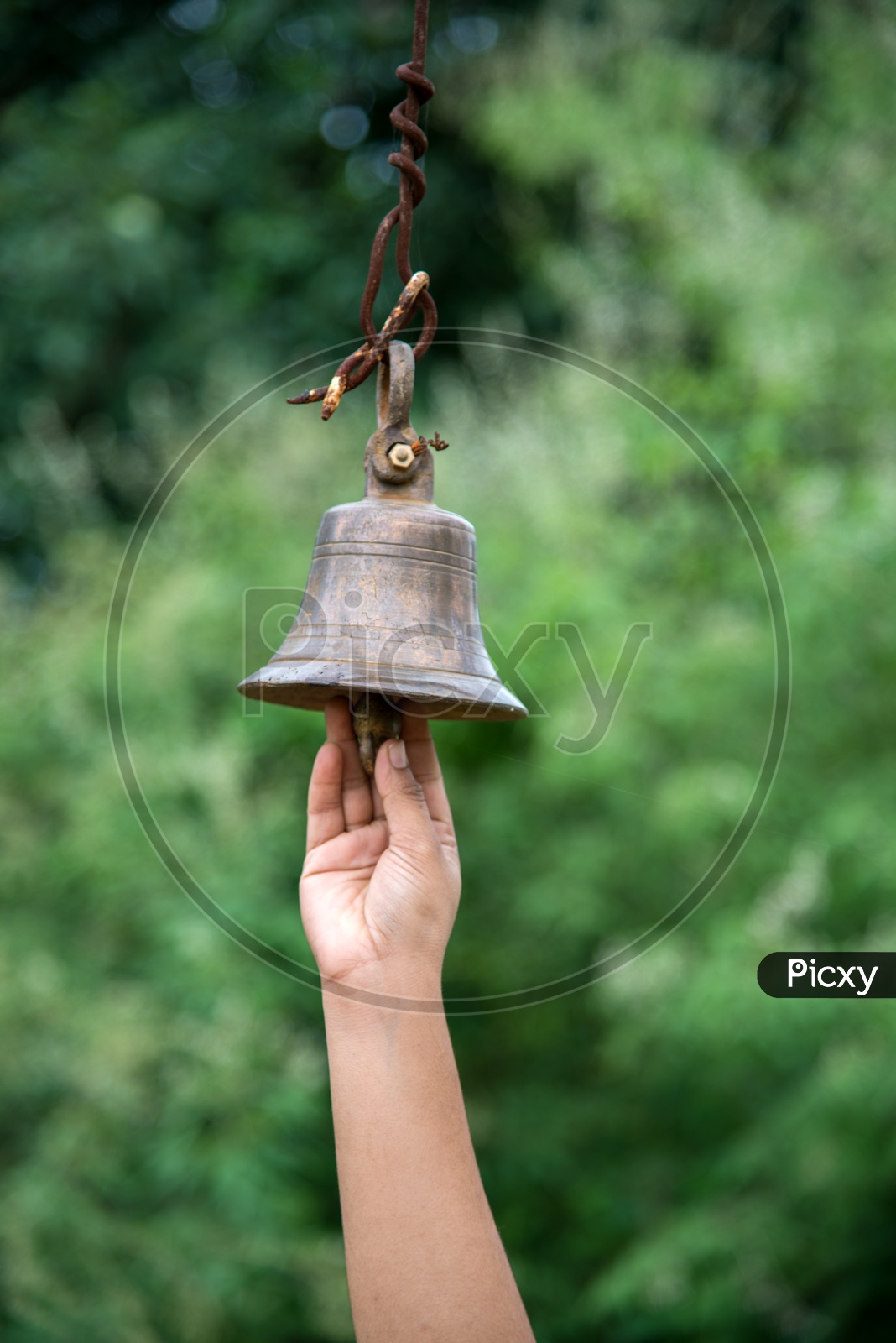 Hindu Devotee ringing temple bells in the Temple Stock Photo | Adobe Stock