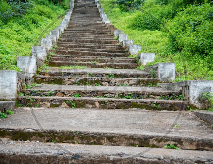 Staircase Or Steps  to an temple With Green Algae Decay On Steps