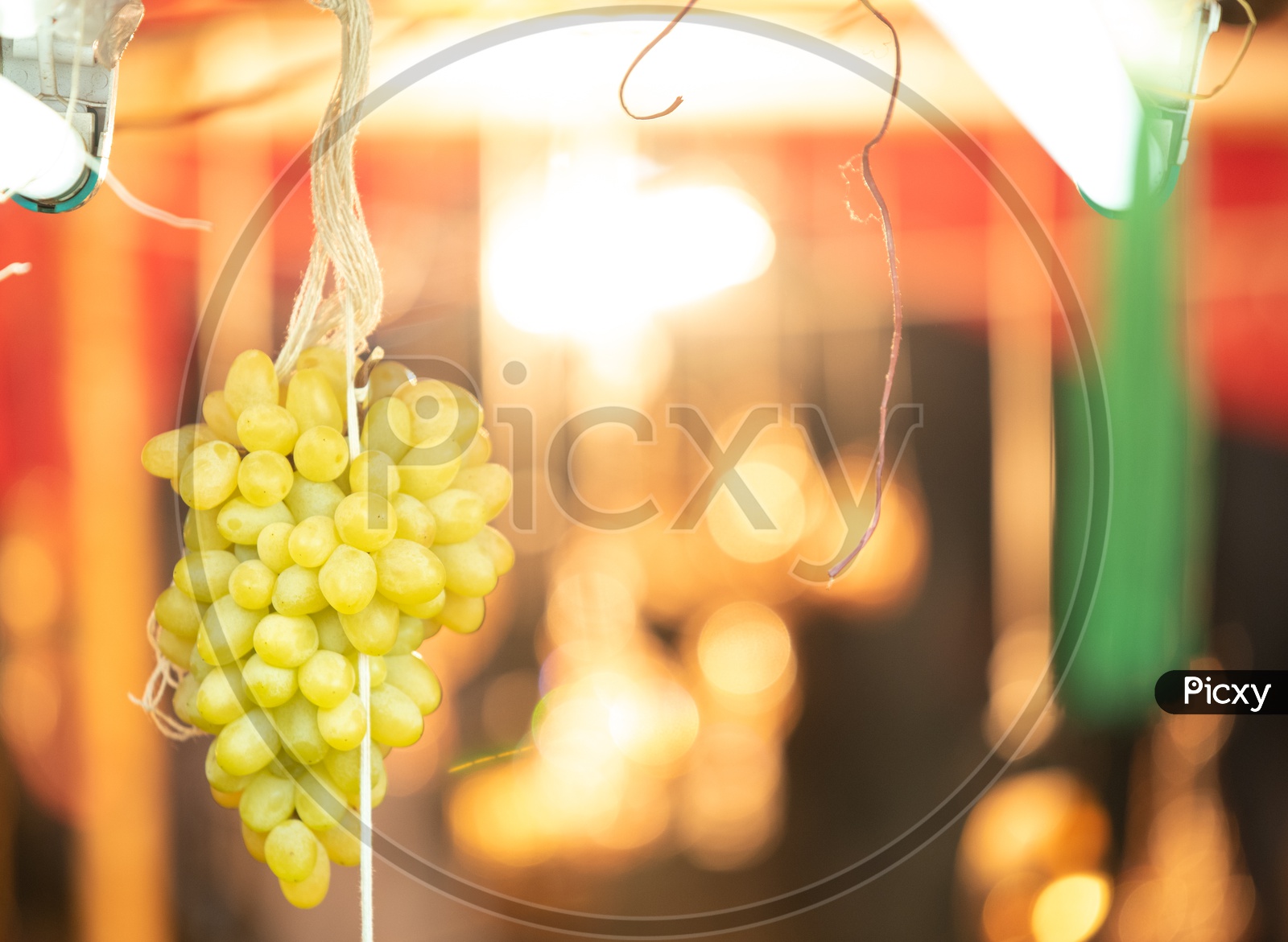 Fresh  grapes  or Green Grapes  Hanging in a Fruit Vendor Stall Around  Charminar  During Ramadan Or Ramzan Season