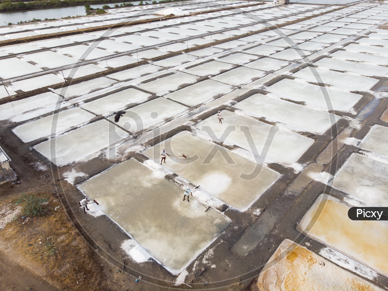 Aerial View Of Salt Making or Harvesting Beds or Pans