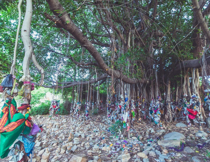 A Banyan Tree With Indian Hindu Devotees tagged Offering Clothes