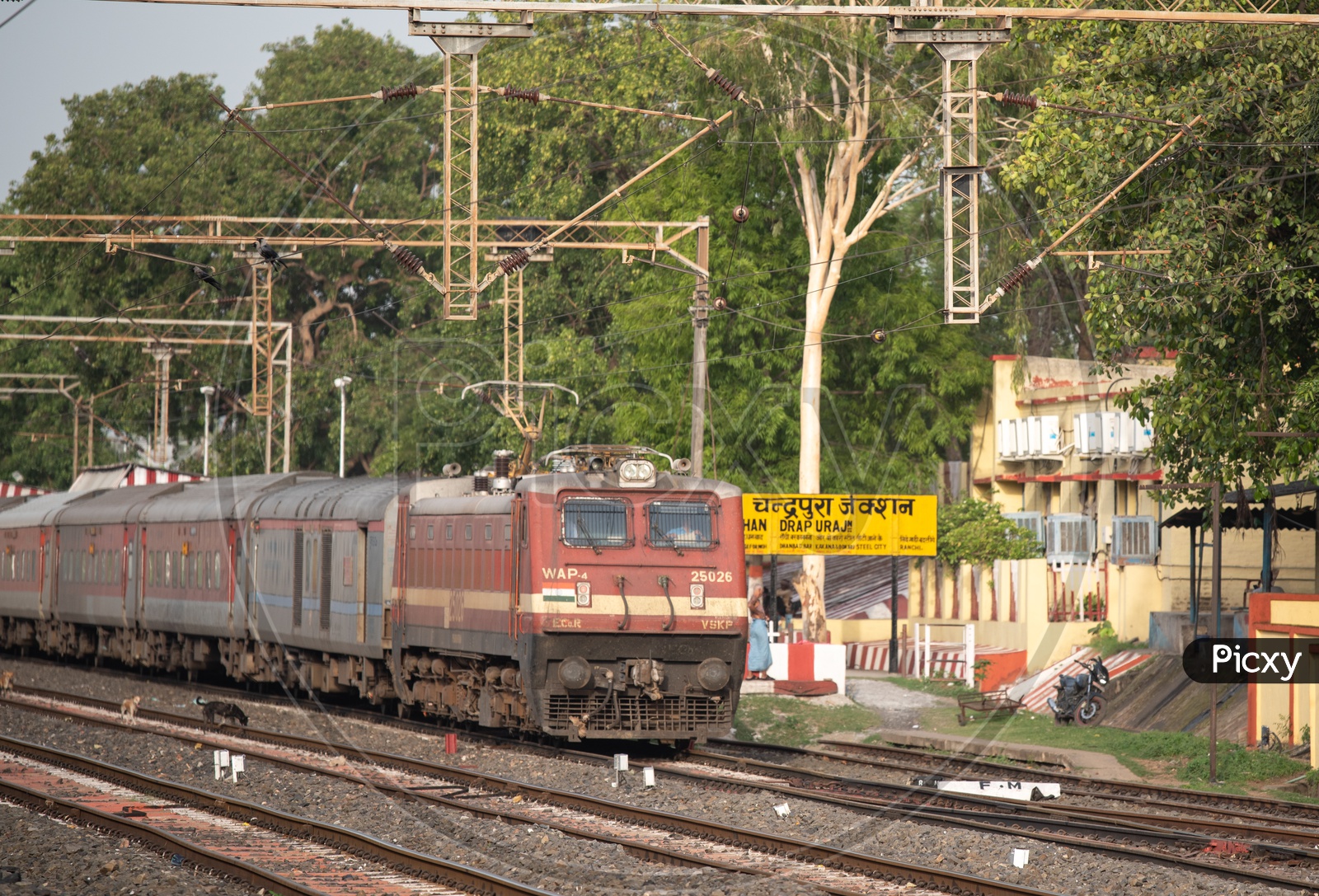 Indian Railways Train On a Platform With a View Of Adjacent  Tracks And Electricity Poles