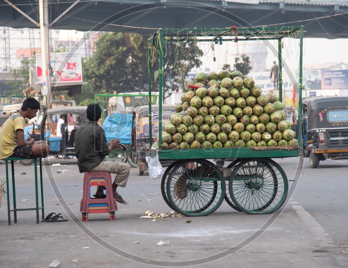 A Coconut Vendor  On  Roads Of Patna City