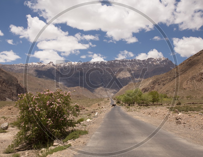 Roads That Leading To the Snow Capped Mountains And Cotton Clouds In The Background