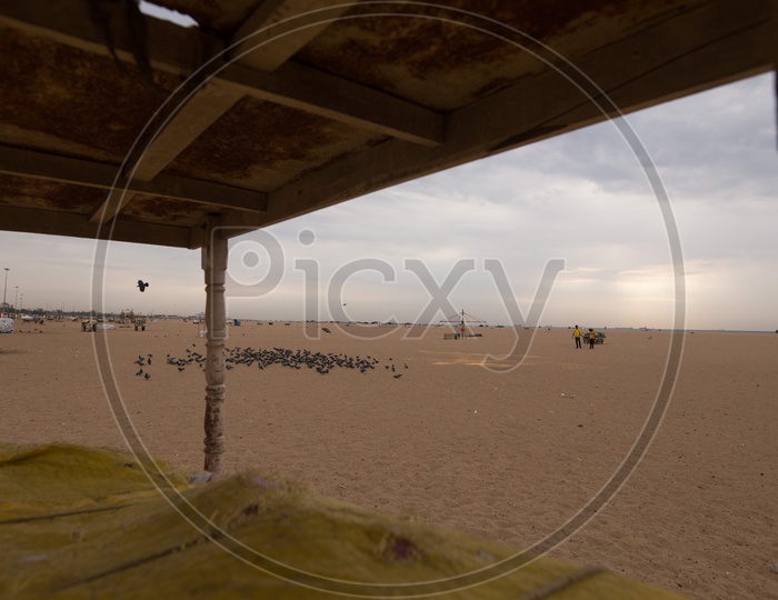 A Composition Shot Of  A Vendor Stall With A Group Of Pigeons in  Background At  a Beach