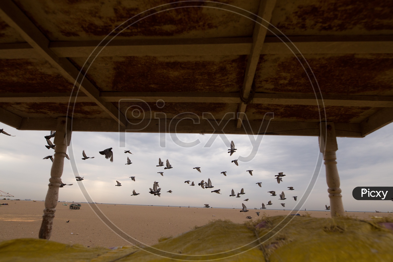 A Composition Shot Of  A Vendor Stall With A Group Of Pigeons in  Background At  a Beach
