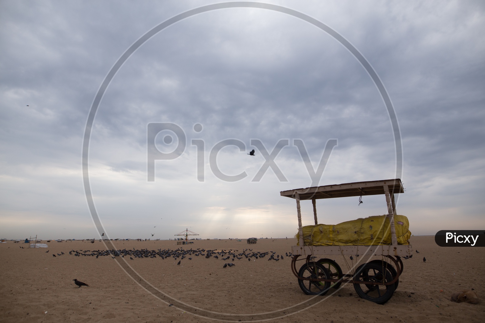 Composition Shot Of  A Vendor Stall In a Beach With A Group Of Pigeons