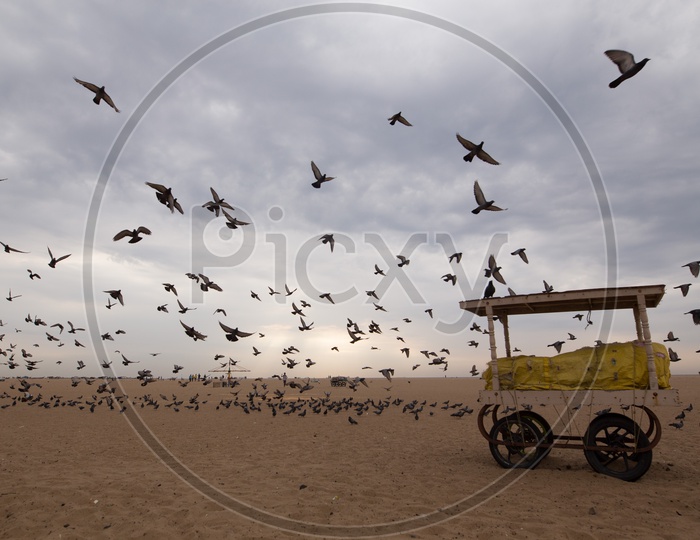 Composition Shot Of  A Vendor Stall In a Beach With A Group Of Pigeons  Flying