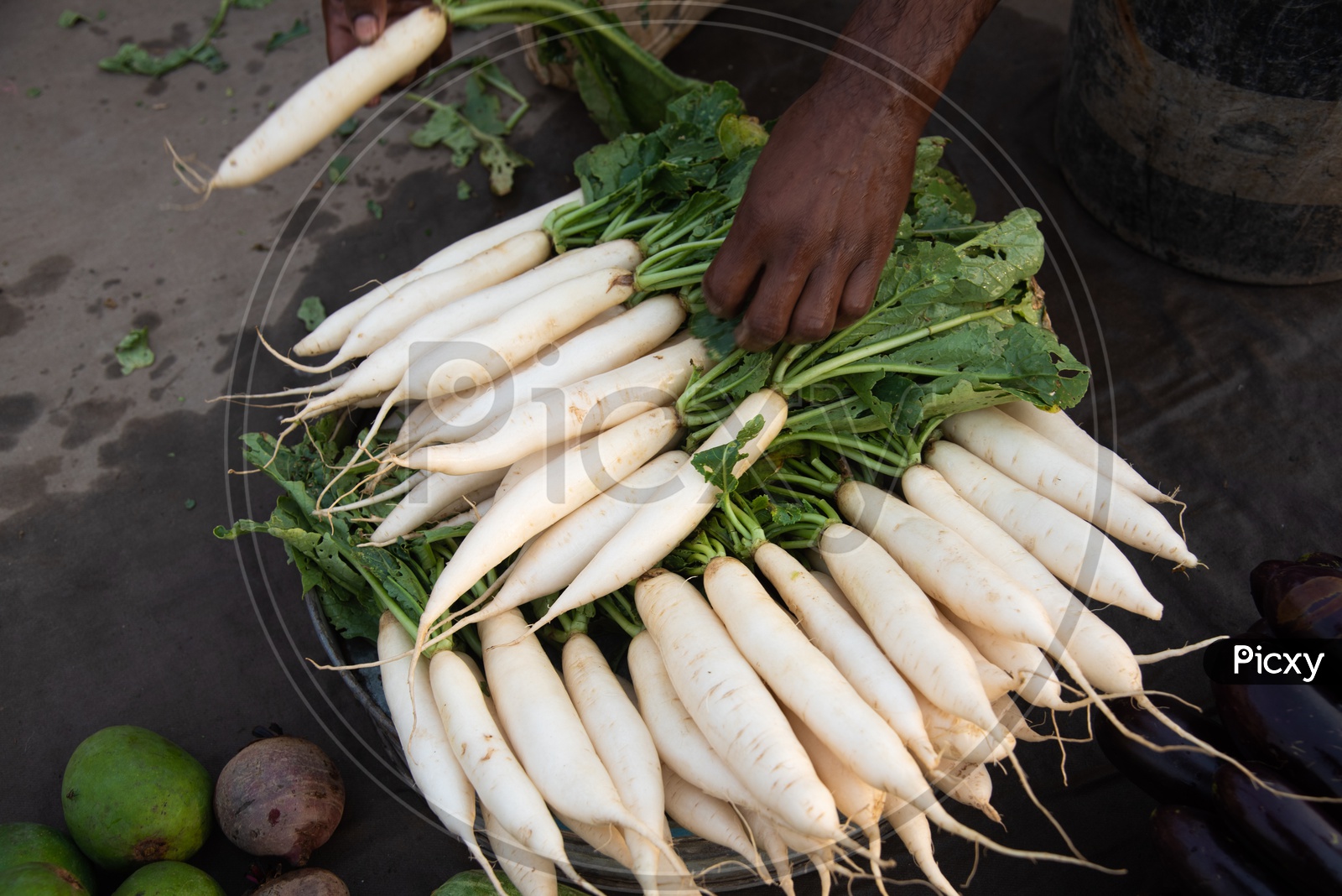 Fresh Vegetables Radish  In Baskets At a Street Vendor Stall
