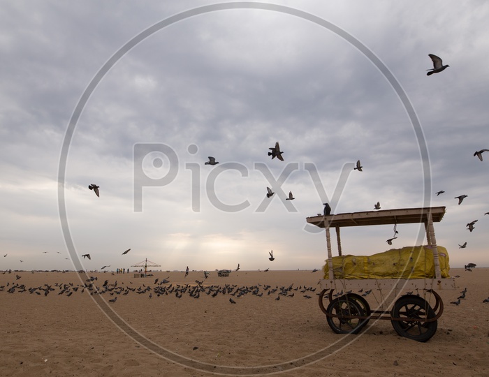 A Composition Shot Of  A Vendor Stall With A Group Of Pigeons Flying In Background in a Beach