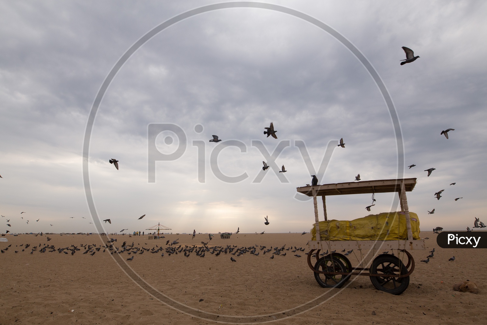 A Composition Shot Of  A Vendor Stall With A Group Of Pigeons Flying In Background in a Beach