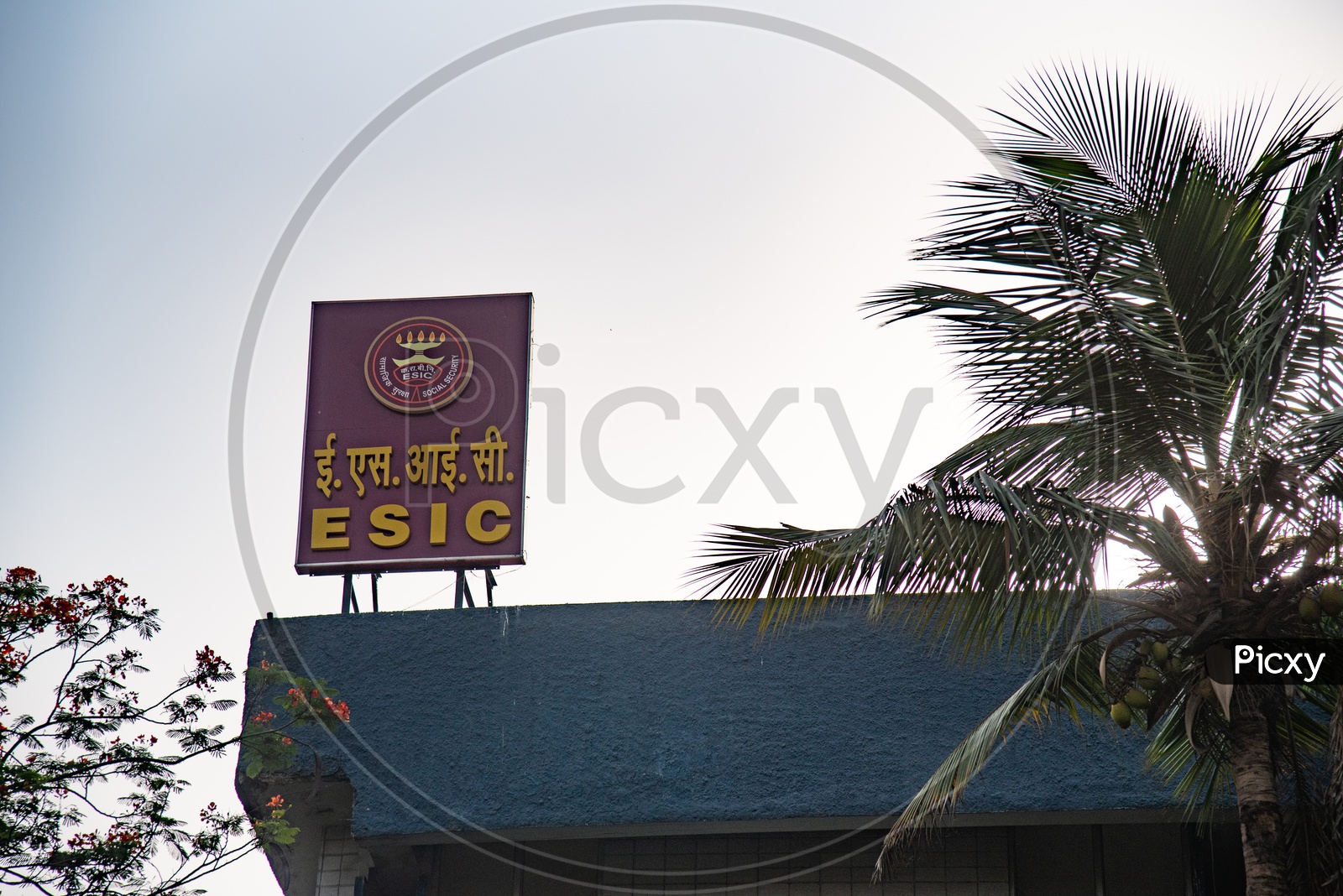 Employees State Insurance Corporation  regional Office  ( ESIC )  , Patna