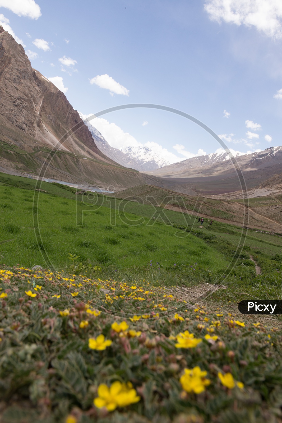 A View of River Valleys With Snow Capped Mountains and Sedimentary Hills From The Step Wise Cultivation Fields in The Villages Of Spiti Valley