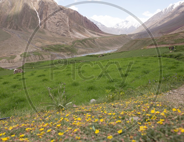 A View of River Valleys With Snow Capped Mountains and Sedimentary Hills From The Step Wise Cultivation Fields in The Villages Of Spiti Valley