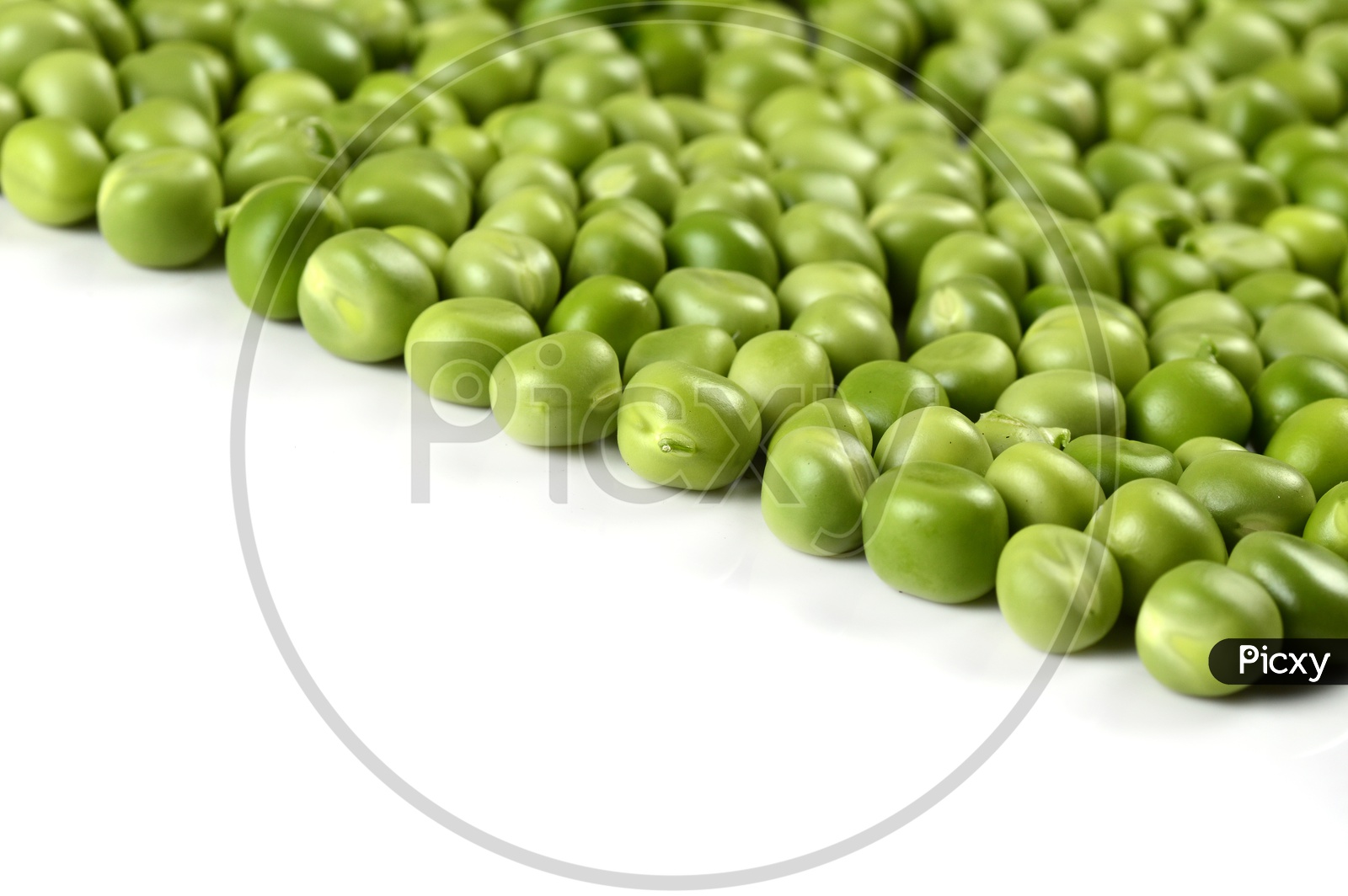 Fresh Green Pea  on An Isolated  white background