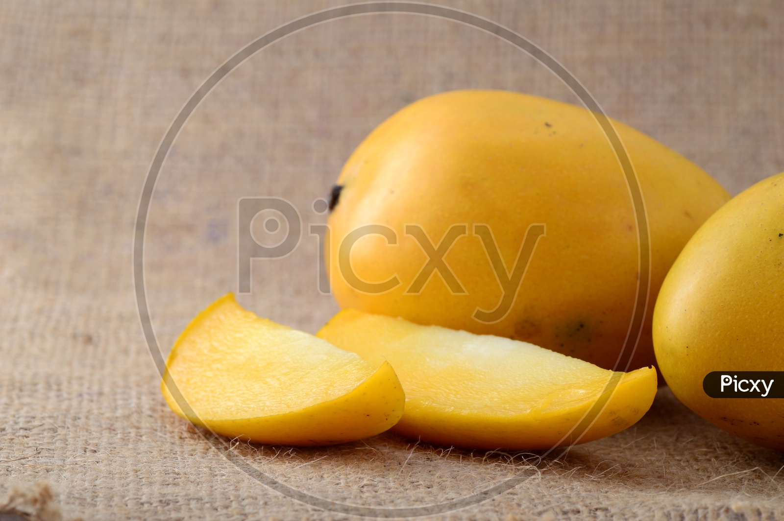 Fresh Ripen Mangoes And Mango Slices On a Sack Cloth Background
