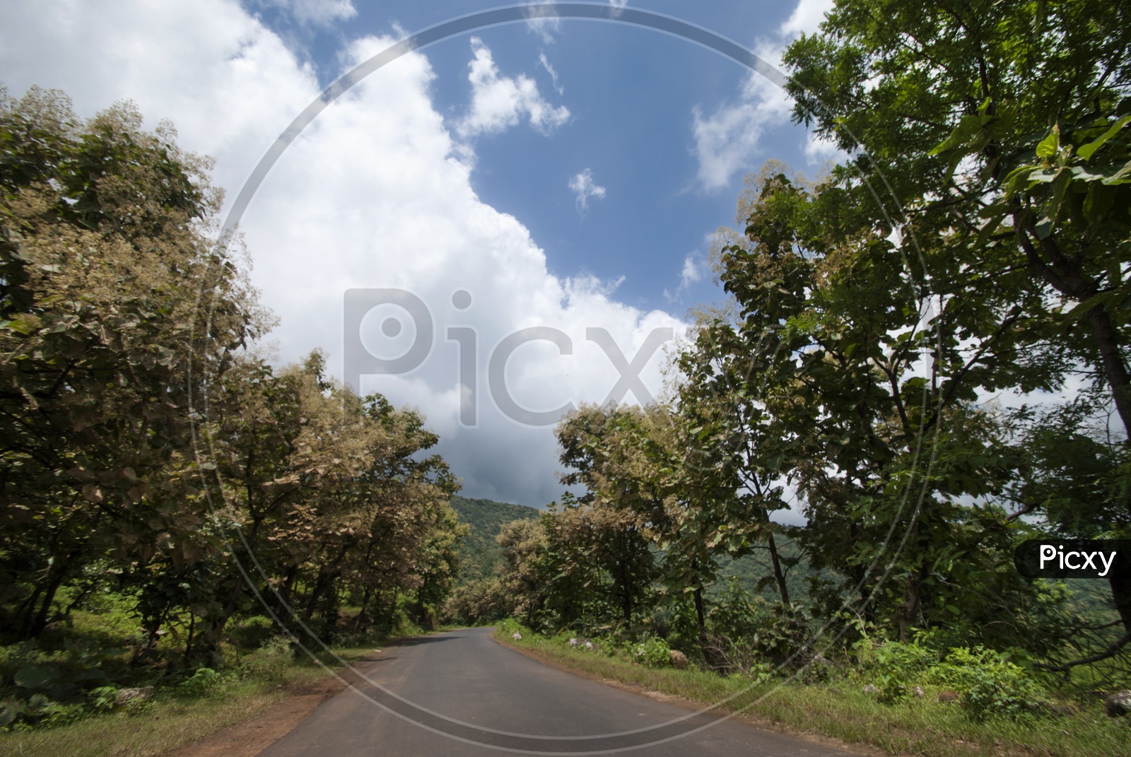 Roads In the Tribal Villages With Agricultural Fields On the Both Sides Of The Road