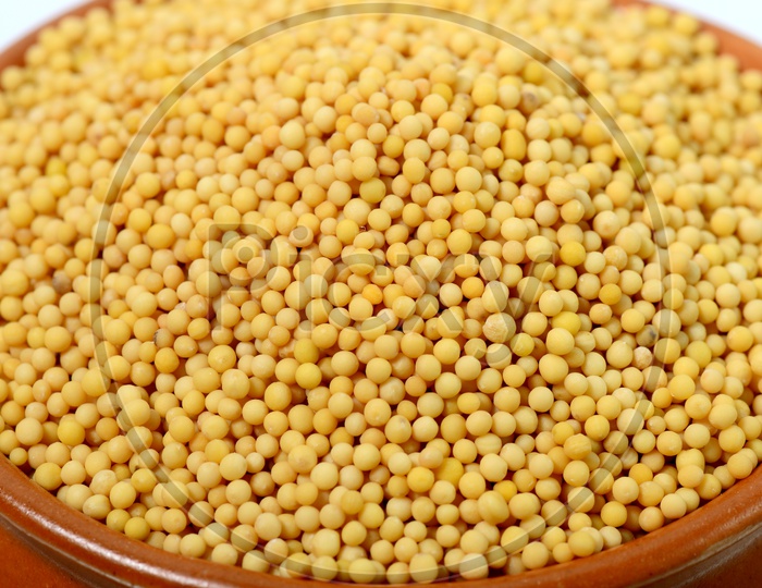 Close up shot of yellow mustard seeds