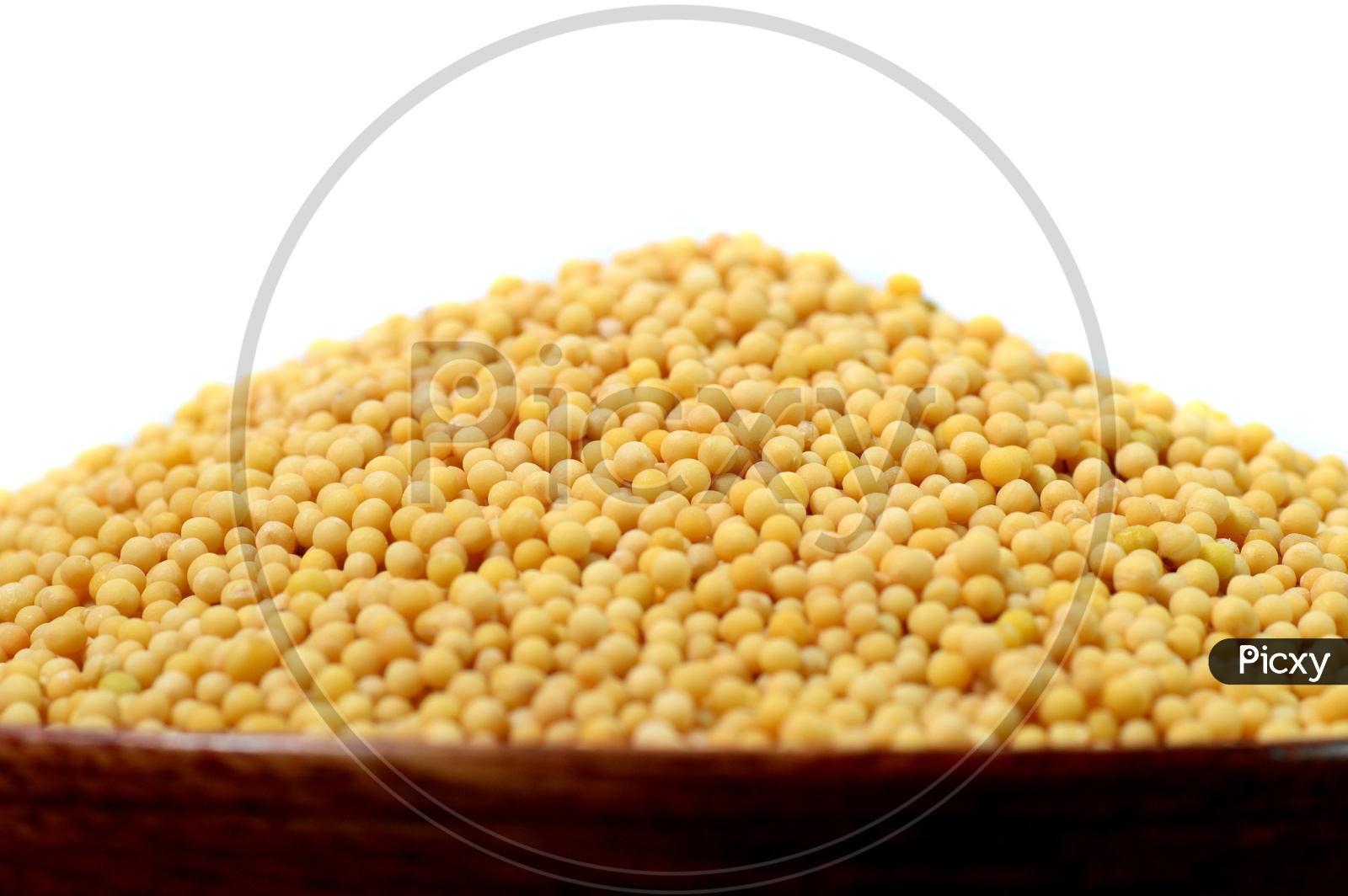 Image of yellow mustard seeds in a bowl isolated on white backgroundLT399439Picxy